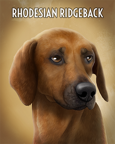 Rhodesian Ridgeback Badge - Poppit!™ HD Rhodesian Ridgeback Badge - Poppit!™ HD