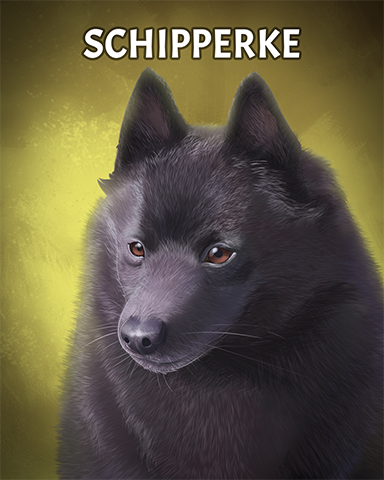 Schipperke Badge - Mahjong Escape Schipperke Badge - Mahjong Escape
