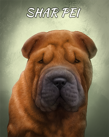 Shar Pei Badge - World Class Solitaire HD Shar Pei Badge - World Class Solitaire HD