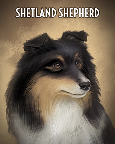 Shetland Sheepdog Badge - Poppit! Party Shetland Sheepdog Badge - Poppit! Party
