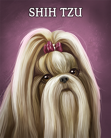 Shih Tzu Badge - Claire Hart Classic Shih Tzu Badge - Claire Hart Classic