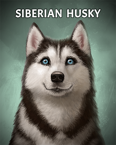 Siberian Husky Badge - Everyone Wins Bingo Siberian Husky Badge - Everyone Wins Bingo