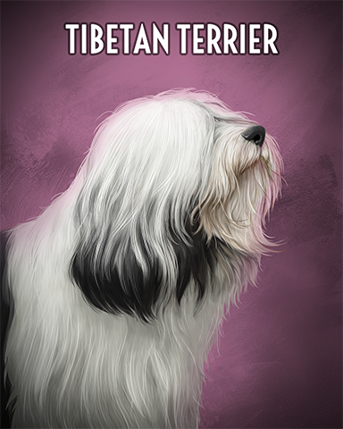 Tibetan Terrier Badge - Jet Set Solitaire Tibetan Terrier Badge - Jet Set Solitaire
