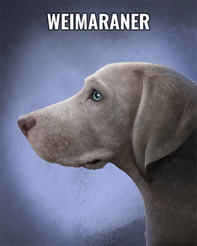 Weimaraner Badge - Rainy Day Spider Solitaire HD Weimaraner Badge - Rainy Day Spider Solitaire HD