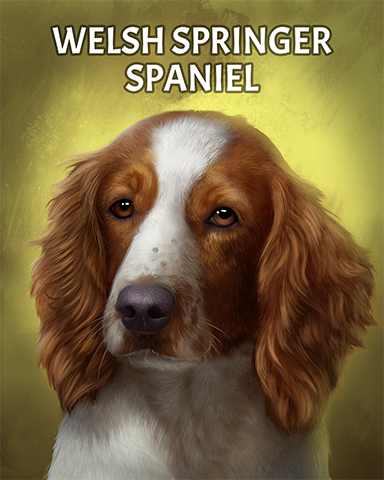 Welsh Springer Spaniel Badge - Phlinx II Welsh Springer Spaniel Badge - Phlinx II