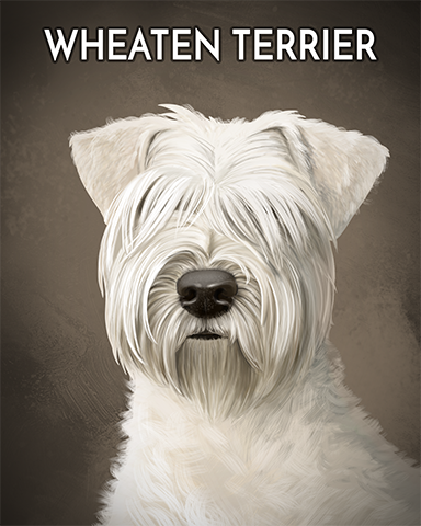 Wheaten Terrier Badge - Cookie Connect Wheaten Terrier Badge - Cookie Connect