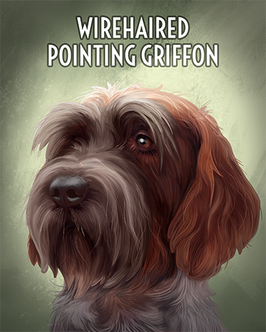 Wirehaired Pointing Griffon Badge - Postcards From Britain Wirehaired Pointing Griffon Badge - Postcards From Britain