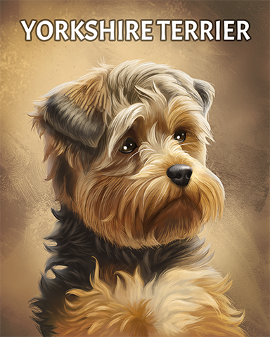 Yorkshire Terrier Badge - A Way With Words Yorkshire Terrier Badge - A Way With Words