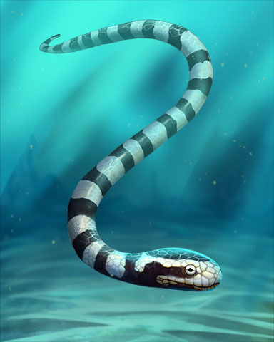 Banded Coral Sea Snake Badge - Poppit! Bingo Banded Coral Sea Snake Badge - Poppit! Bingo