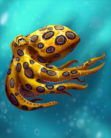 Blue-ringed Octopus Badge - Anagrams Blue-ringed Octopus Badge - Anagrams