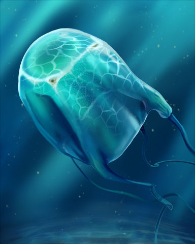Box Jellyfish Badge - Tumble Bees HD Box Jellyfish Badge - Tumble Bees HD