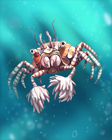 Boxer Crab Badge - Claire Hart: Secret In The Shadows Boxer Crab Badge - Claire Hart: Secret In The Shadows