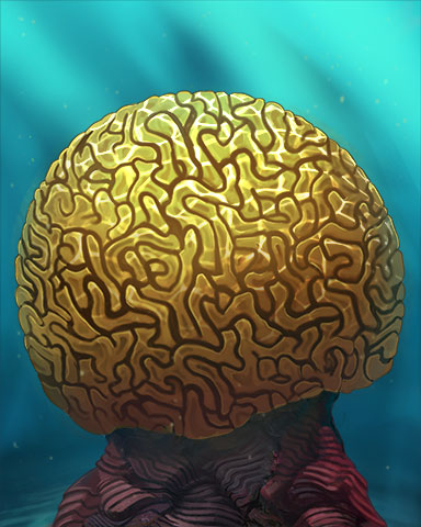 Brain Coral Badge - Rainy Day Spider Solitaire HD Brain Coral Badge - Rainy Day Spider Solitaire HD