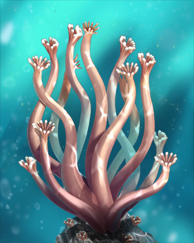 Coral Polyp Badge - Cookie Connect Coral Polyp Badge - Cookie Connect