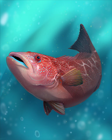 Coral Trout Badge - Claire Hart: Secret In The Shadows Coral Trout Badge - Claire Hart: Secret In The Shadows