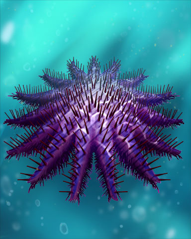 Crown-of-Thorns Starfish Badge - Phlinx II Crown-of-Thorns Starfish Badge - Phlinx II