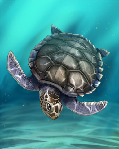 Flatback Turtle Badge - Jigsaw Treasure Hunter HD Flatback Turtle Badge - Jigsaw Treasure Hunter HD