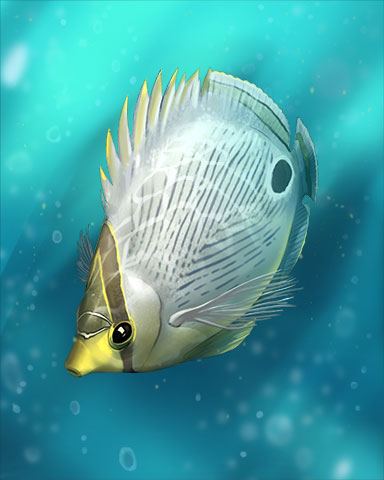 Foureye ButterflyFish Badge - Sweet Tooth Town Foureye ButterflyFish Badge - Sweet Tooth Town