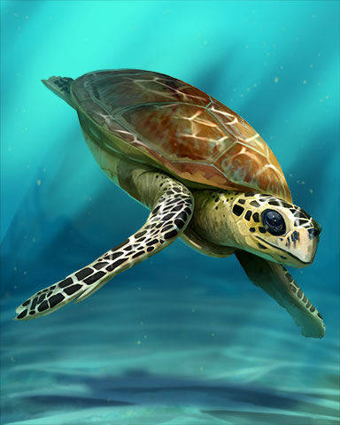Hawksbill Turtle Badge - Pogo Daily Sudoku Hawksbill Turtle Badge - Pogo Daily Sudoku