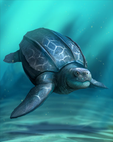 Leatherback Turtle Badge - World Class Solitaire HD Leatherback Turtle Badge - World Class Solitaire HD