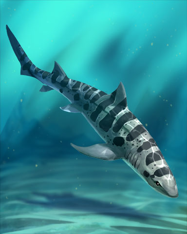 Leopard Shark Badge - Rainy Day Spider Solitaire HD Leopard Shark Badge - Rainy Day Spider Solitaire HD
