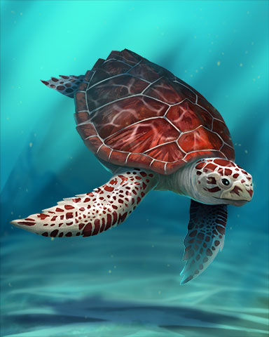 Loggerhead Sea Turtle Badge - Jet Set Solitaire Loggerhead Sea Turtle Badge - Jet Set Solitaire