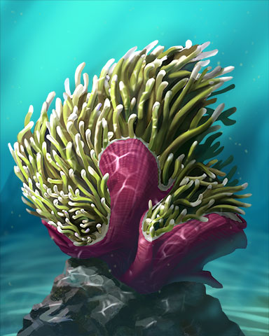 Magnificent Sea Anemone Badge - Anagrams Magnificent Sea Anemone Badge - Anagrams