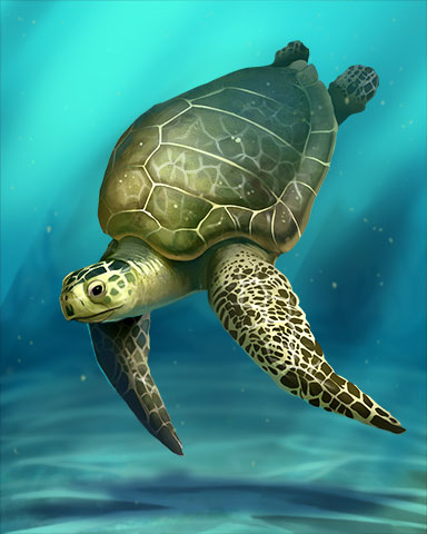 Pacific Ridley Sea Turtle Badge - Mahjong Garden HD Pacific Ridley Sea Turtle Badge - Mahjong Garden HD