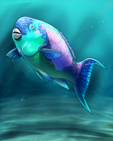 Parrotfish Badge - Poppit! Bingo Parrotfish Badge - Poppit! Bingo
