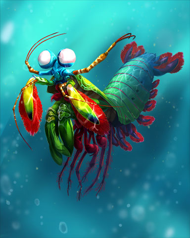 Peacock Mantis Shrimp Badge - Pogo Addiction Solitaire HD Peacock Mantis Shrimp Badge - Pogo Addiction Solitaire HD