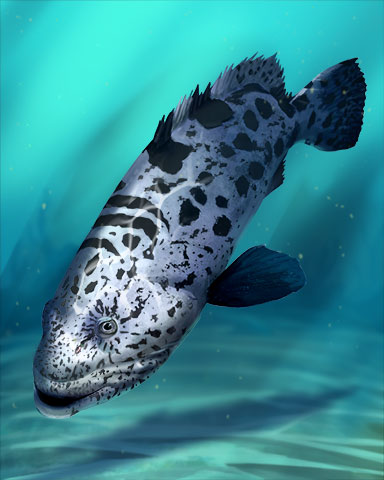 Potato Cod Fish Badge - Word Search Daily HD Potato Cod Fish Badge - Word Search Daily HD