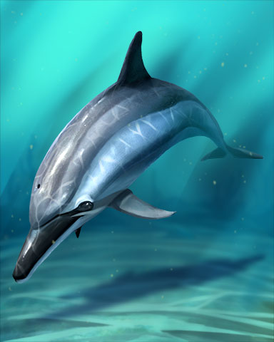 Spinner Dolphin Badge - Poppit! Party Spinner Dolphin Badge - Poppit! Party