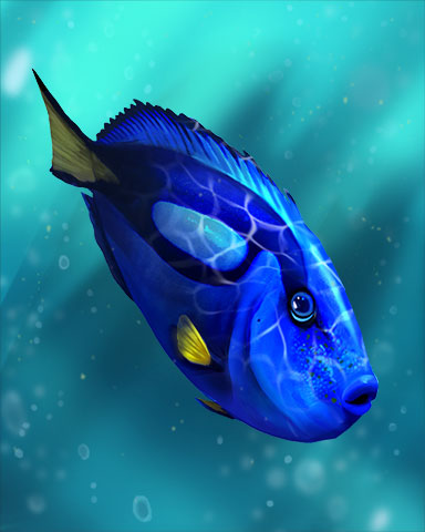 Surgeonfish Badge - Bookworm HD Surgeonfish Badge - Bookworm HD