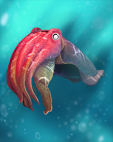 Cuttlefish Badge - Mahjong Safari HD Cuttlefish Badge - Mahjong Safari HD