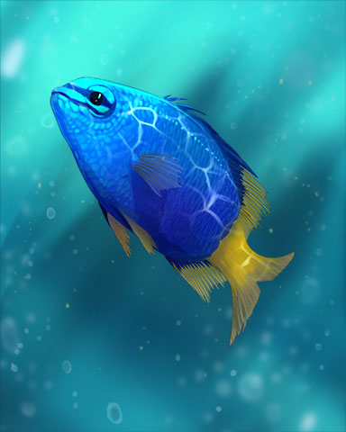 Damselfish Badge - Crossword Cove HD Damselfish Badge - Crossword Cove HD