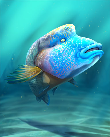 Wrasse Badge - Sweet Tooth Town Wrasse Badge - Sweet Tooth Town