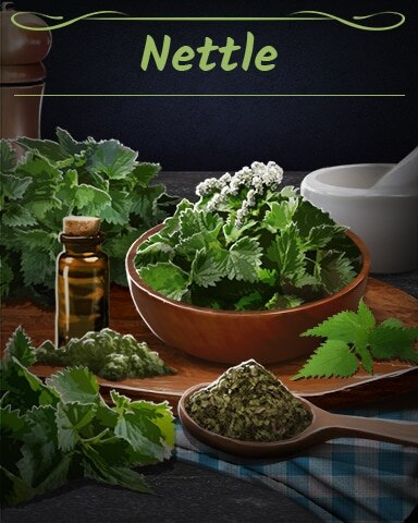 Nettle Badge - Solitaire Home Story Nettle Badge - Solitaire Home Story
