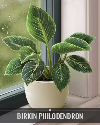 Birkin Philodendron Houseplants Badge - Mahjong Garden HD Birkin Philodendron Houseplants Badge - Mahjong Garden HD