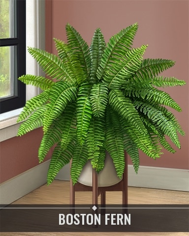 Boston Fern Houseplants Badge - Lucky Cat Bingo