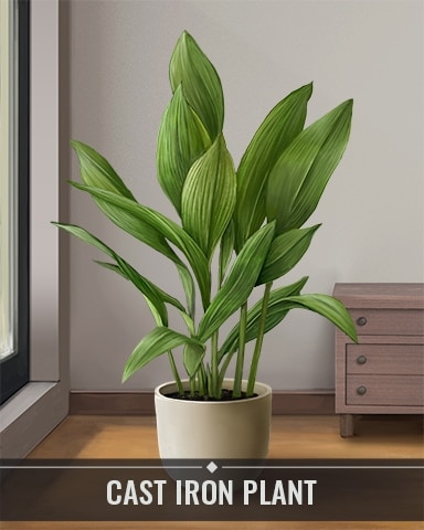 Cast Iron Plant Houseplants Badge - Mahjong Safari HD