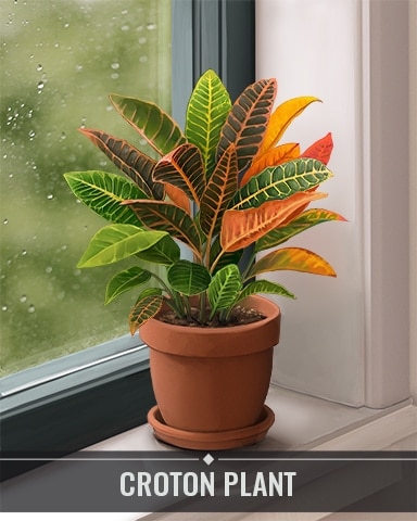Croton Plant Houseplants Badge - Tri-Peaks Solitaire HD Croton Plant Houseplants Badge - Tri-Peaks Solitaire HD