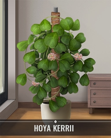 Hoya Kerrii Houseplants Badge - Mahjong Safari HD