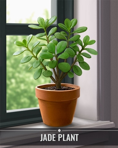 Jade Plant Houseplants Badge - Jungle Gin HD Jade Plant Houseplants Badge - Jungle Gin HD