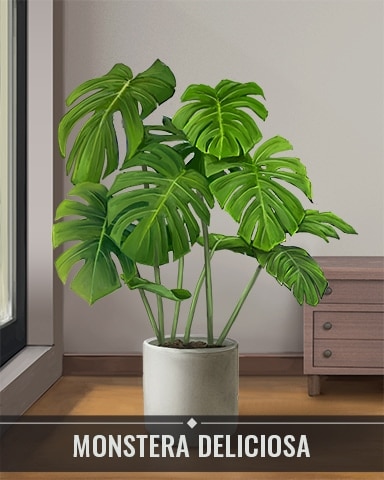 Monstera Deliciosa Houseplants Badge - Lucky Cat Bingo Monstera Deliciosa Houseplants Badge - Lucky Cat Bingo