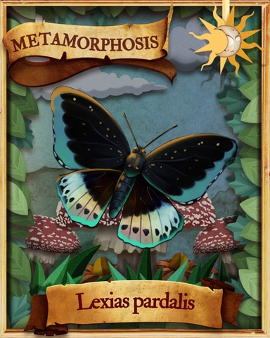 Archduke Butterfly Metamorphosis Badge - Crossword Cove HD Archduke Butterfly Metamorphosis Badge - Crossword Cove HD