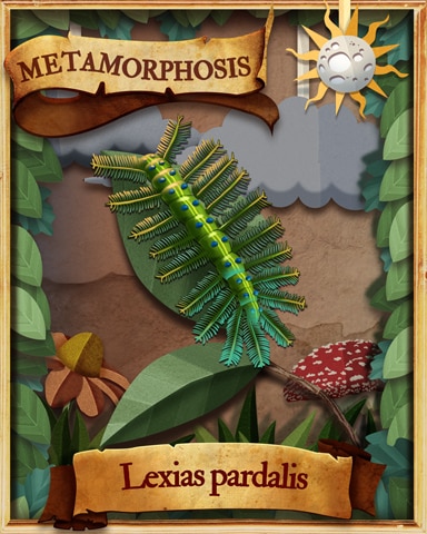 Archduke Caterpillar Metamorphosis Badge - Quinn's Aquarium Archduke Caterpillar Metamorphosis Badge - Quinn's Aquarium