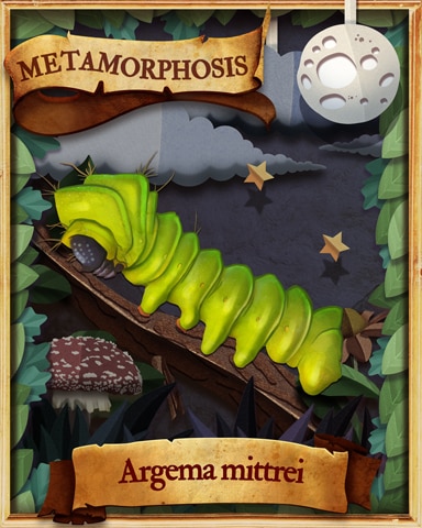 Comet Moth Caterpillar Metamorphosis Badge - Claire Hart: Secret In The Shadows Comet Moth Caterpillar Metamorphosis Badge - Claire Hart: Secret In The Shadows