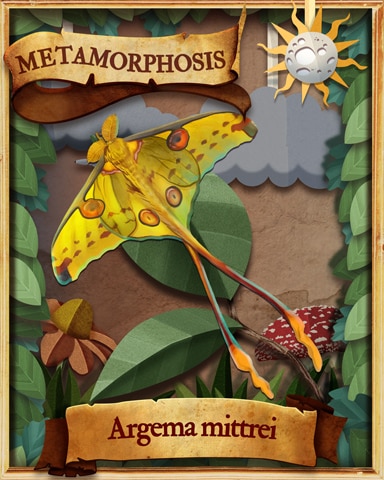 Comet Moth Metamorphosis Badge - Jewel Academy Comet Moth Metamorphosis Badge - Jewel Academy