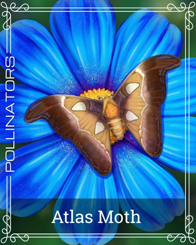 Atlas Moth Pollinators Badge - Snowbird Solitaire Atlas Moth Pollinators Badge - Snowbird Solitaire