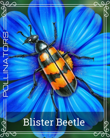 Blister Beetle Pollinators Badge - Poppit! Bingo Blister Beetle Pollinators Badge - Poppit! Bingo